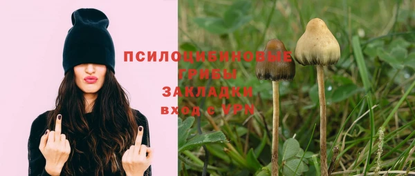 альфа пвп Вяземский