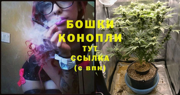 альфа пвп Вяземский