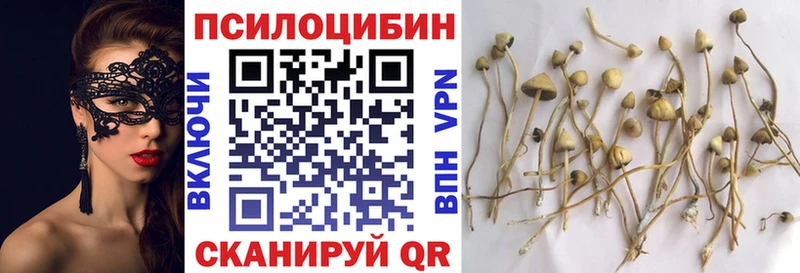 Псилоцибиновые грибы MAGIC MUSHROOMS Дмитров
