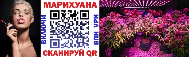 Канабис конопля Дмитров